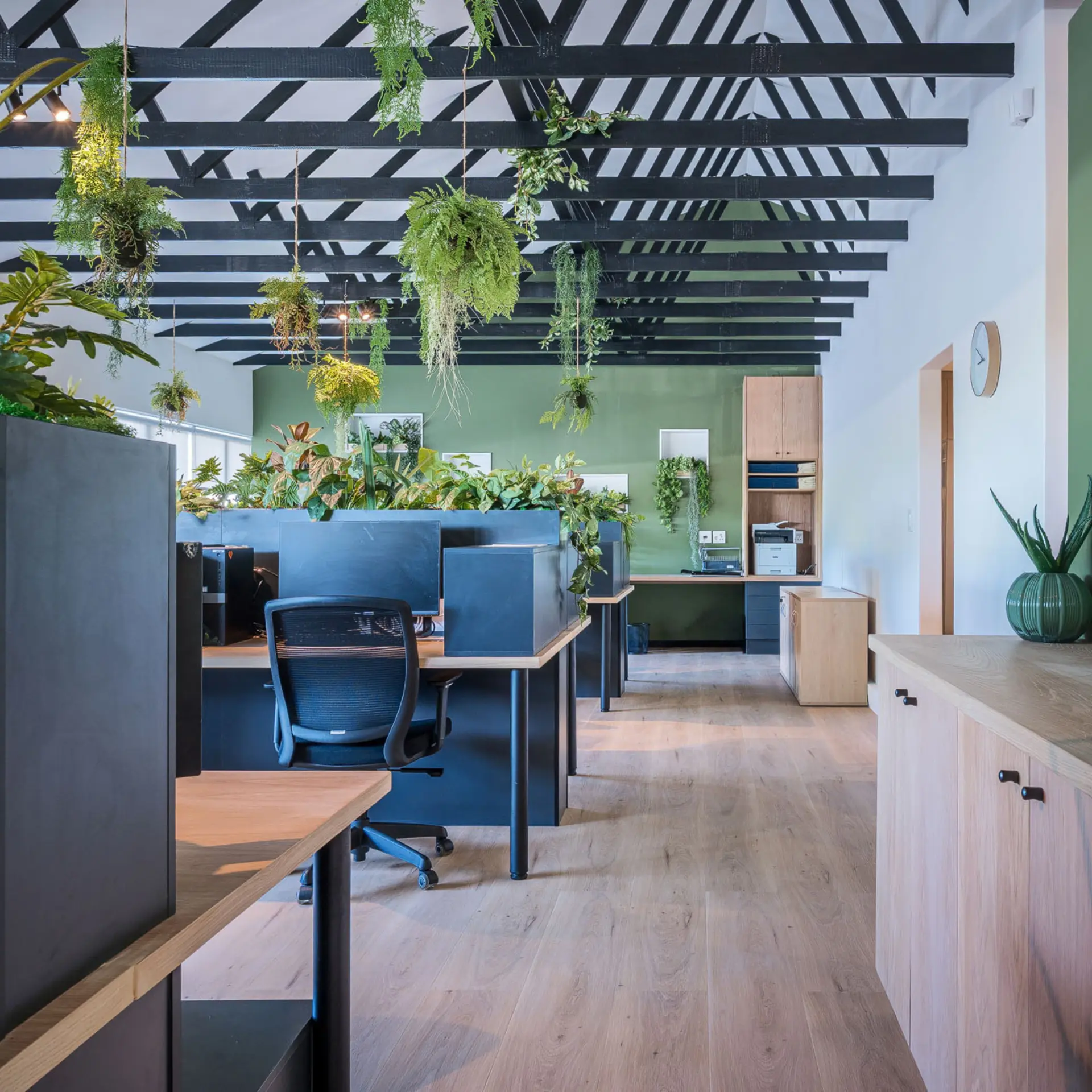 Open-plan office with black timber trusses, hanging greenery and oak desking