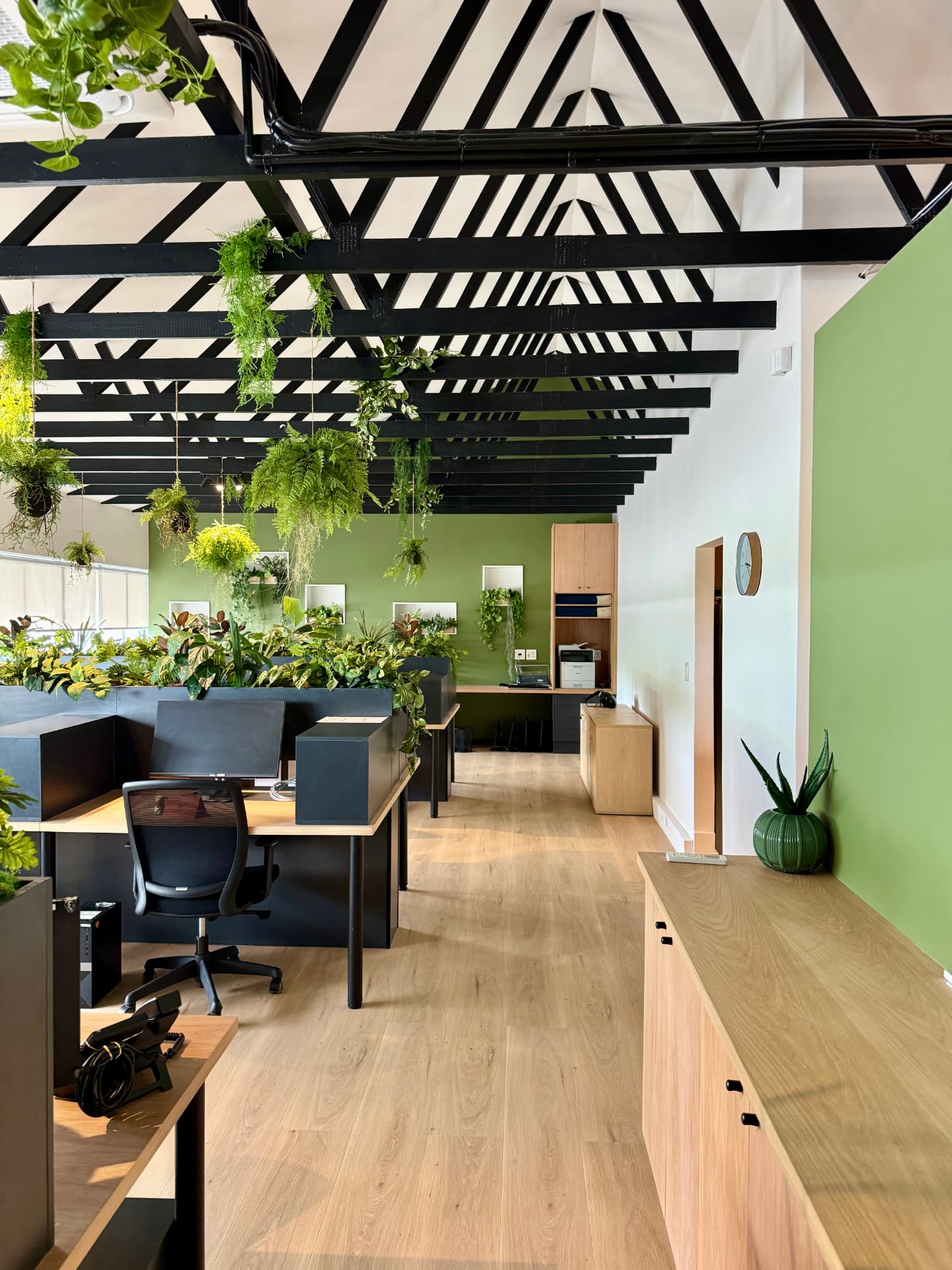 Open-plan workspace with green feature wall and hanging ferns